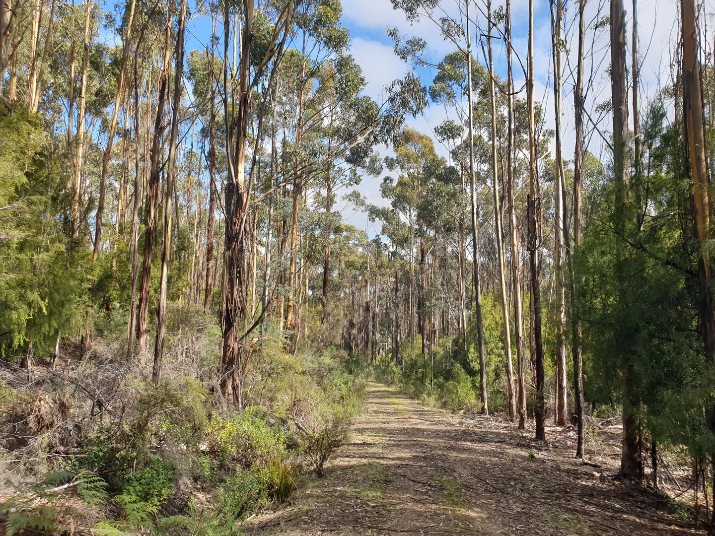 Image 10