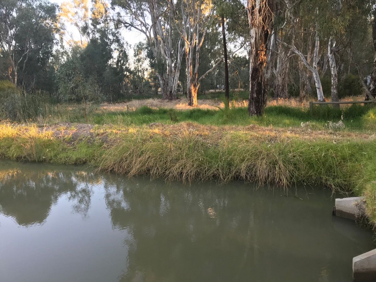 81/North Barham North Barham Road, Barham NSW 2732 Vacant Land for Sale