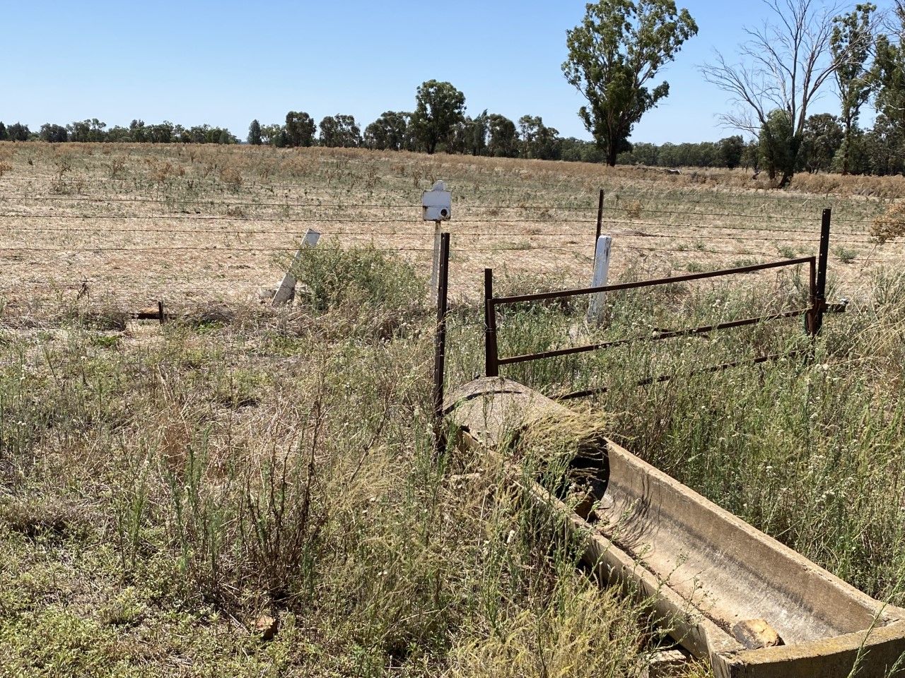 18 Miles Road, Forbes NSW 2871, Image 1