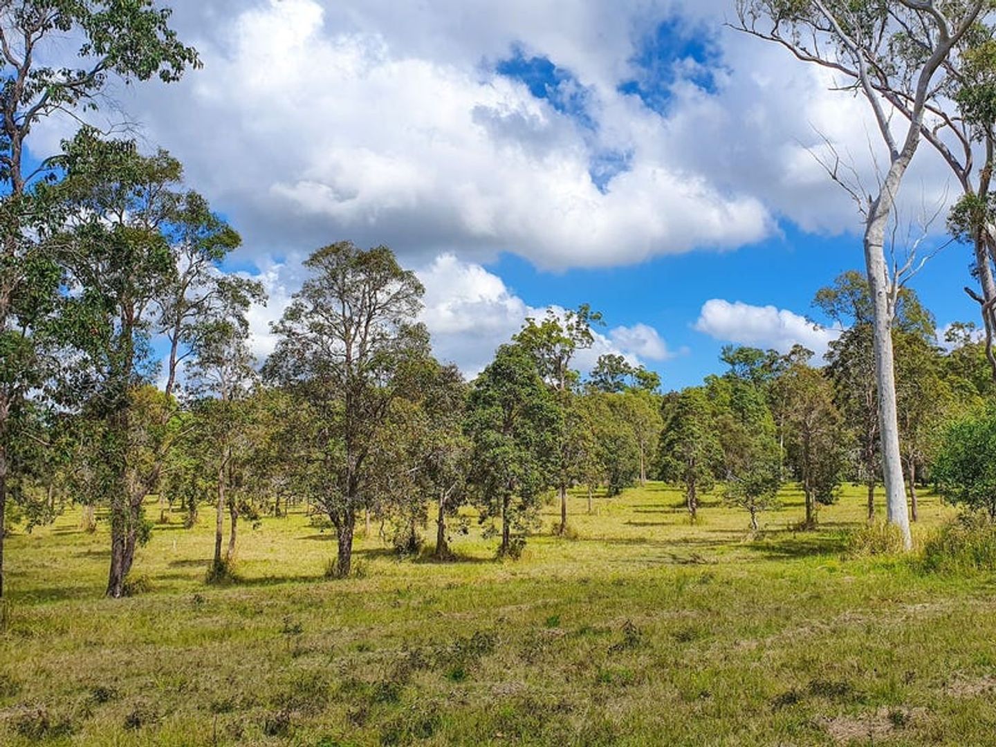 James Creek NSW 2463, Image 2