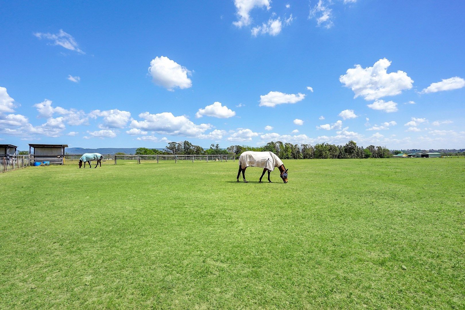 55 Price Lane, Agnes Banks NSW 2753, Image 0