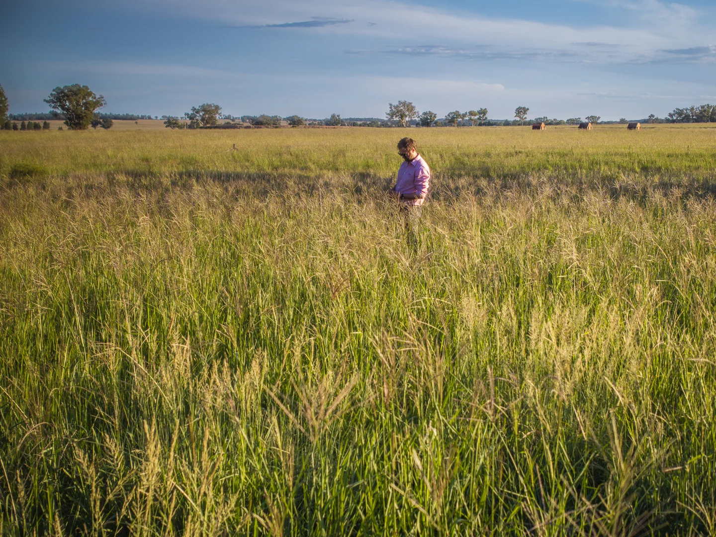 Additional image 15 of 159L Peak Hill Road, Dubbo NSW 2830