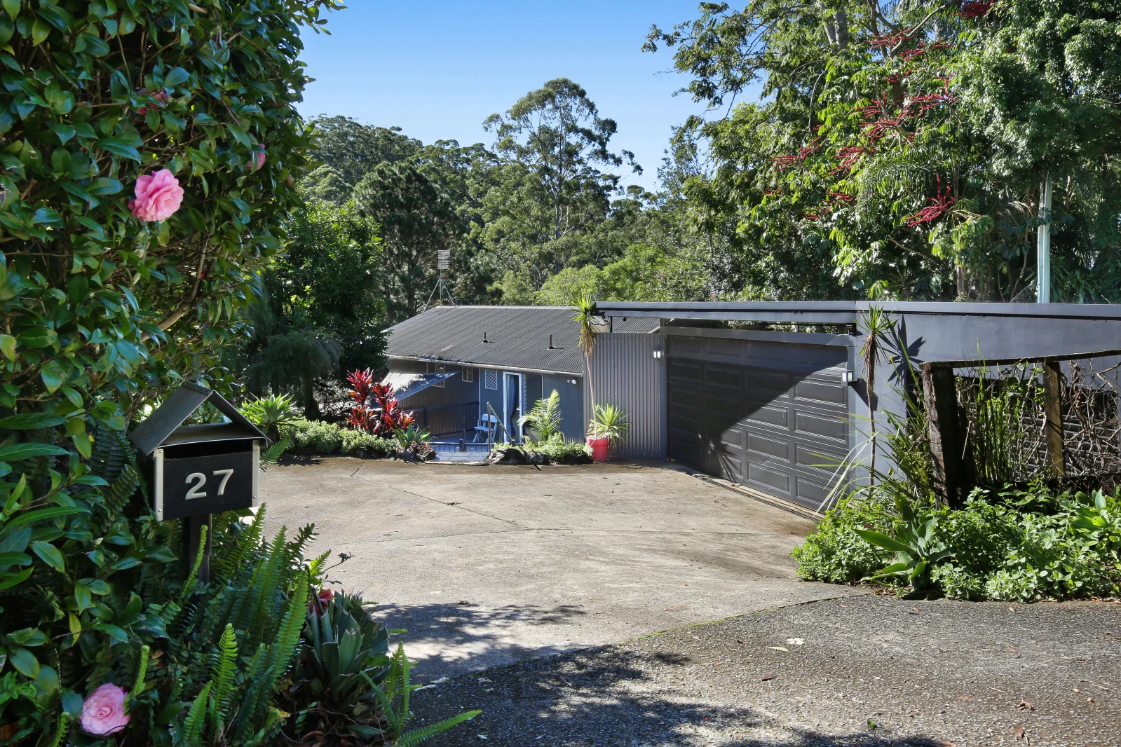 Image 6