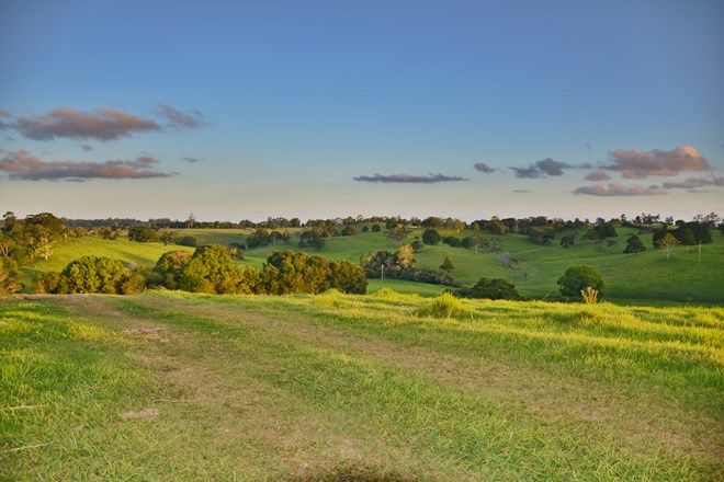 Picture of Lot 60 Mahogany Place, MALENY QLD 4552