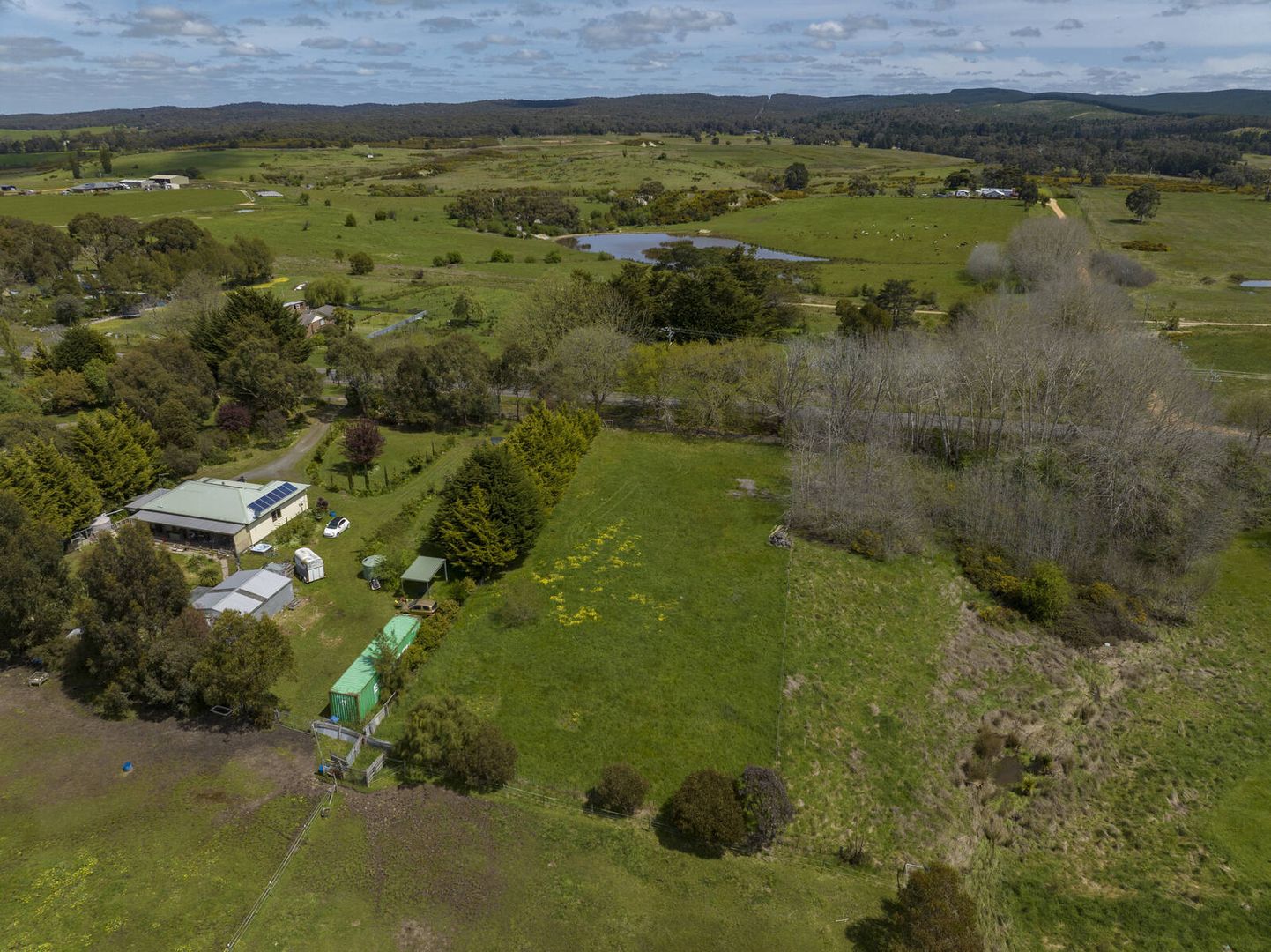 117 Pitfield Scarsdale Road, Scarsdale VIC 3351 Domain