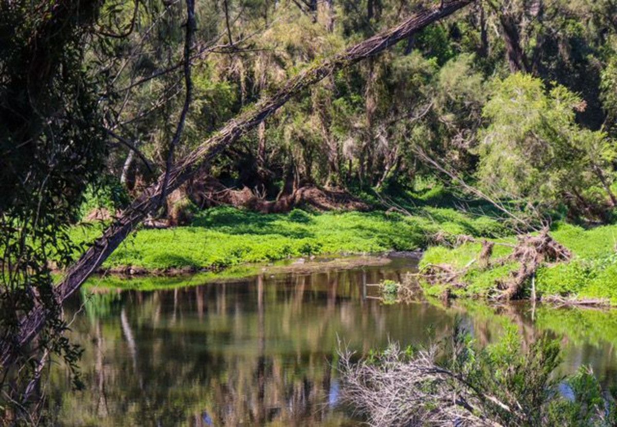 303 Latimers Crossing Road, Advancetown QLD 4211 House for Sale