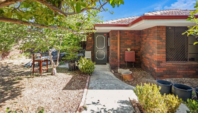 Picture of 11 Eighth Avenue, MAYLANDS WA 6051