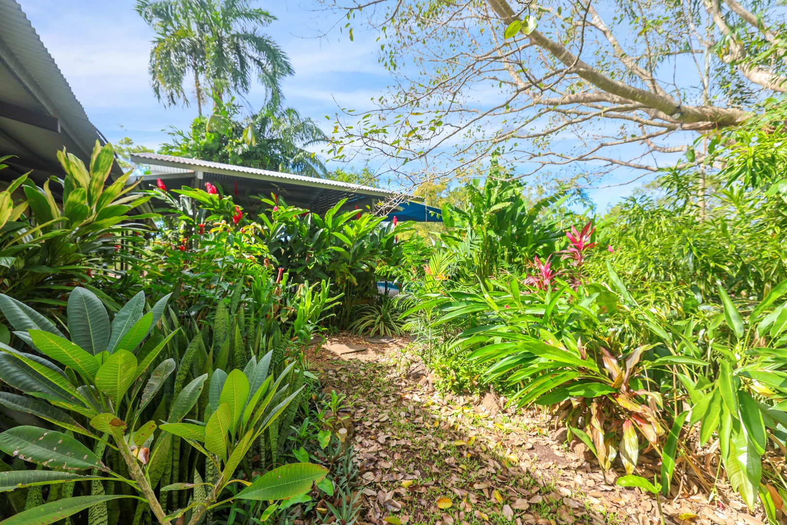 Additional image 24 of 945 Mira Road South, Darwin River NT 0841