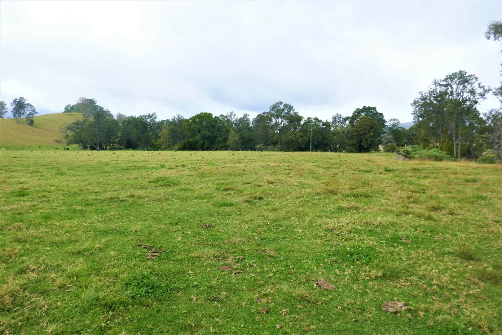 Additional image 9 of 35 Phelps Road, Kyogle NSW 2474