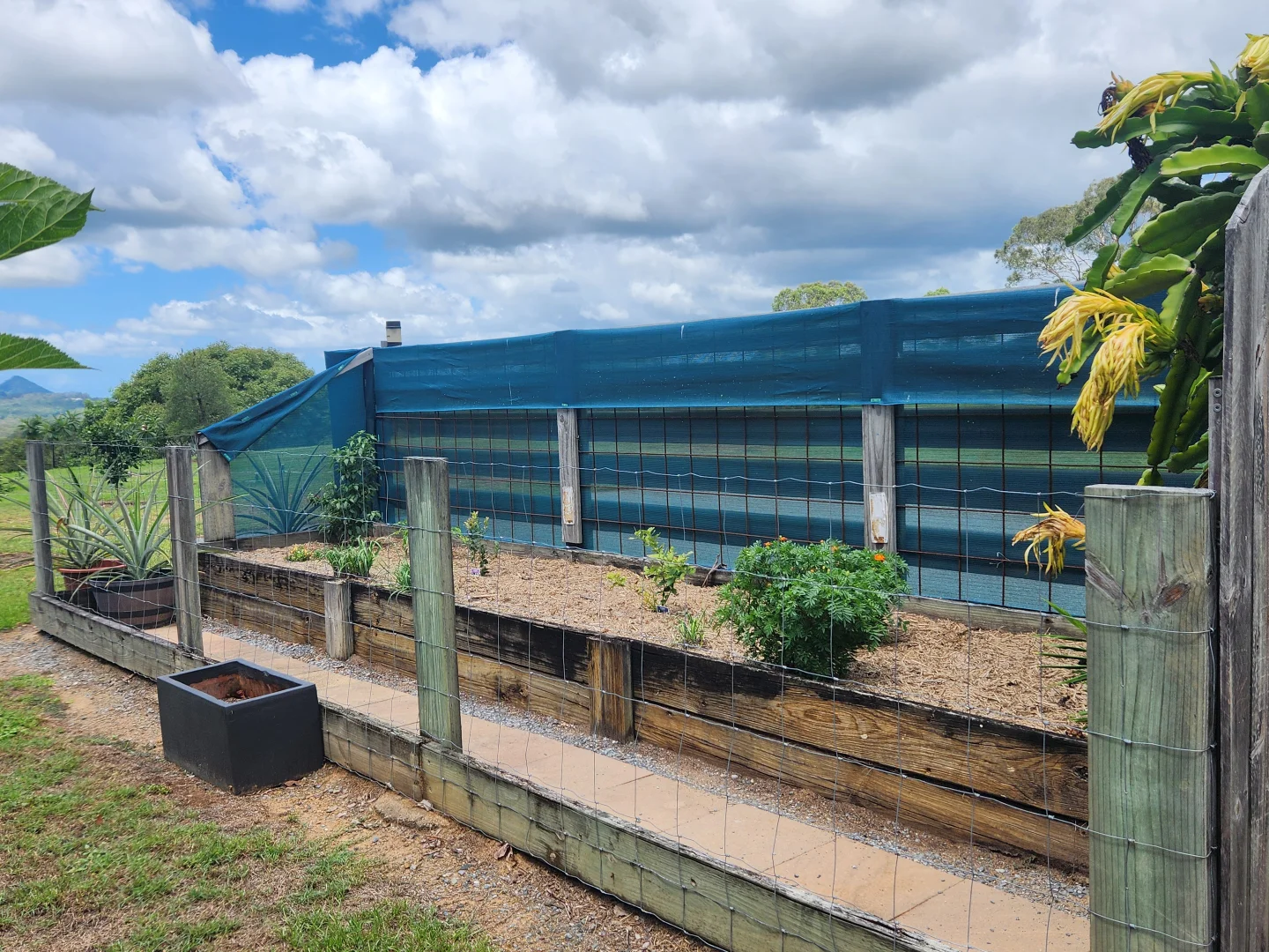 Additional image 14 of 136 Lehman Road, Traveston QLD 4570