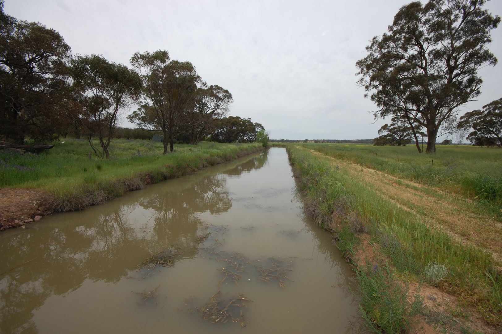 Farm 1777 Narrandera Road, Cudgel NSW 2700, Image 2