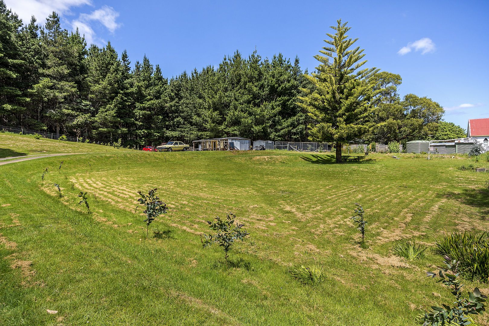 936 Golconda Road, Lebrina TAS 7254, Image 1