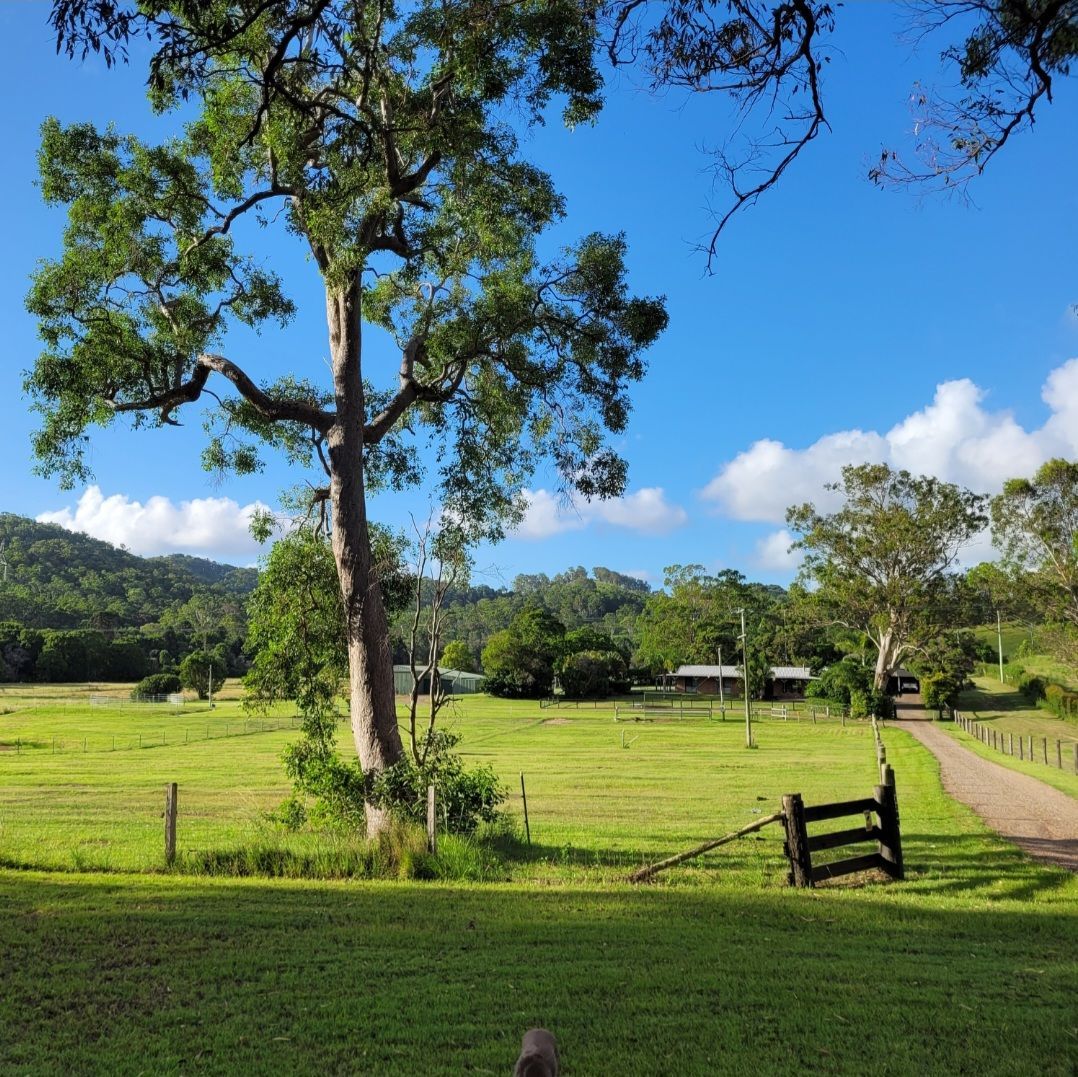 1280 EUMUNDI KENILWORTH ROAD, Belli Park QLD 4562, Image 0