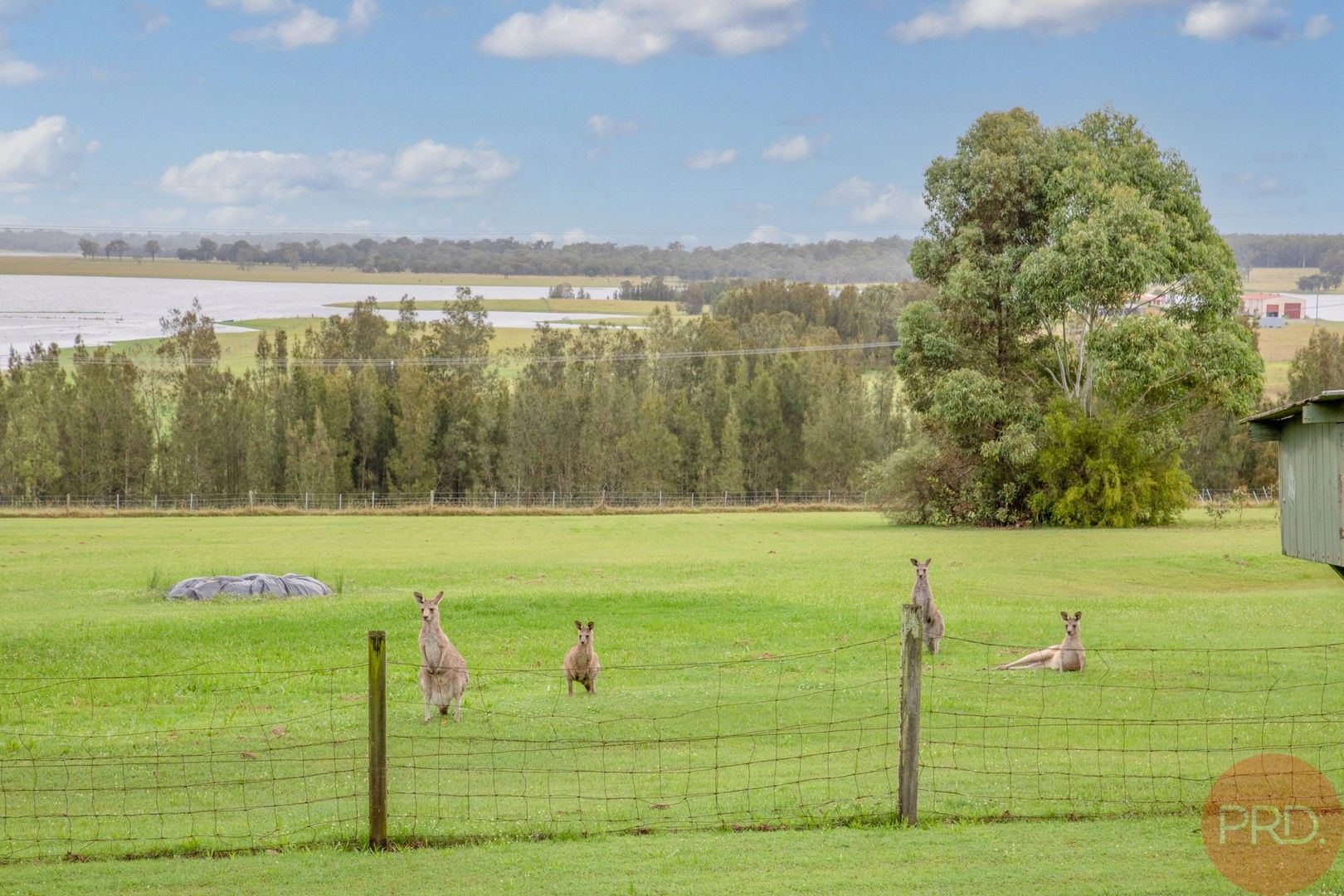 4 bedrooms House in 139 Quarry Road FARLEY NSW, 2320