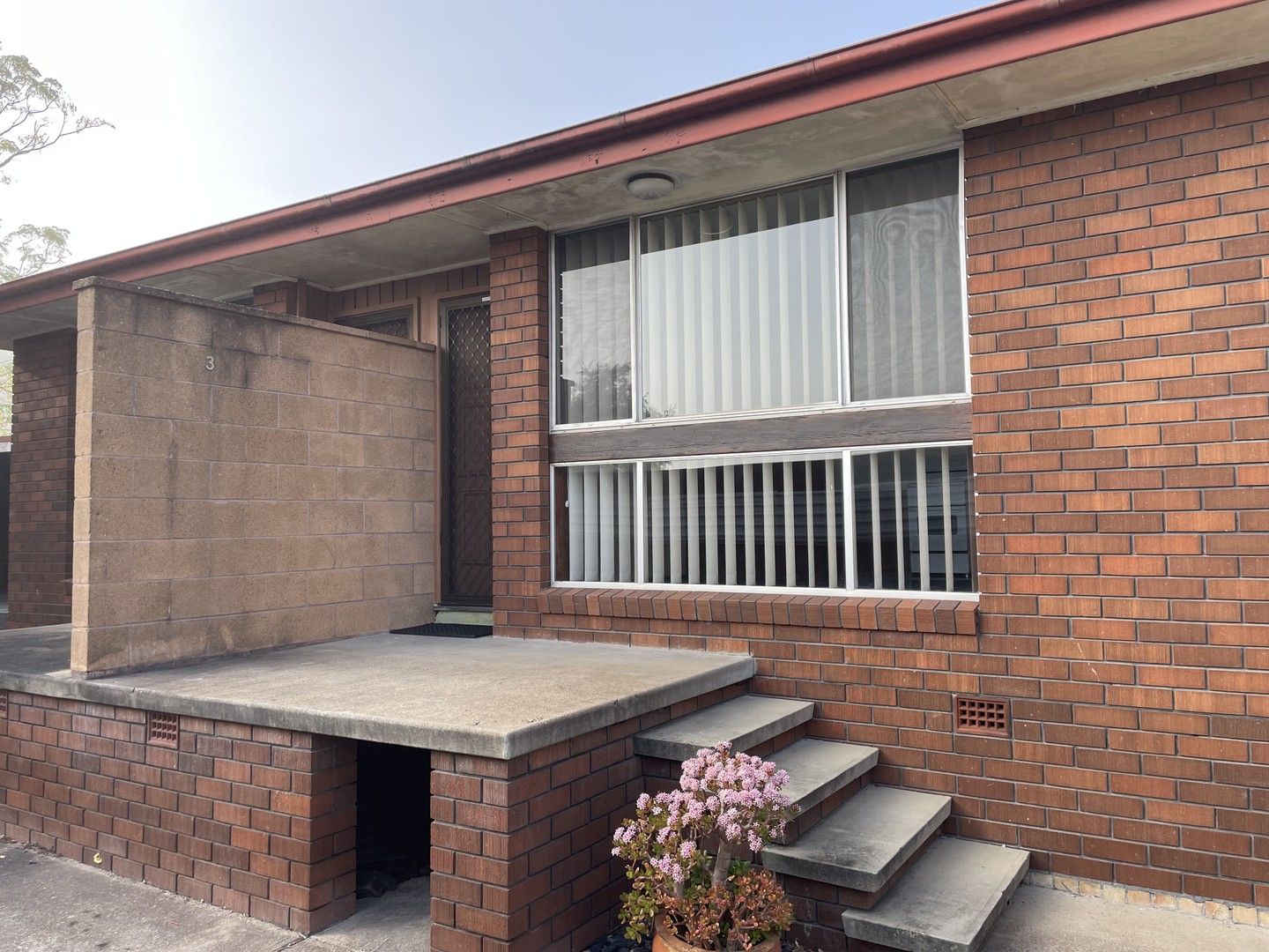 1 bedrooms Apartment / Unit / Flat in 3/15 Clyde Street RUTHERFORD NSW, 2320