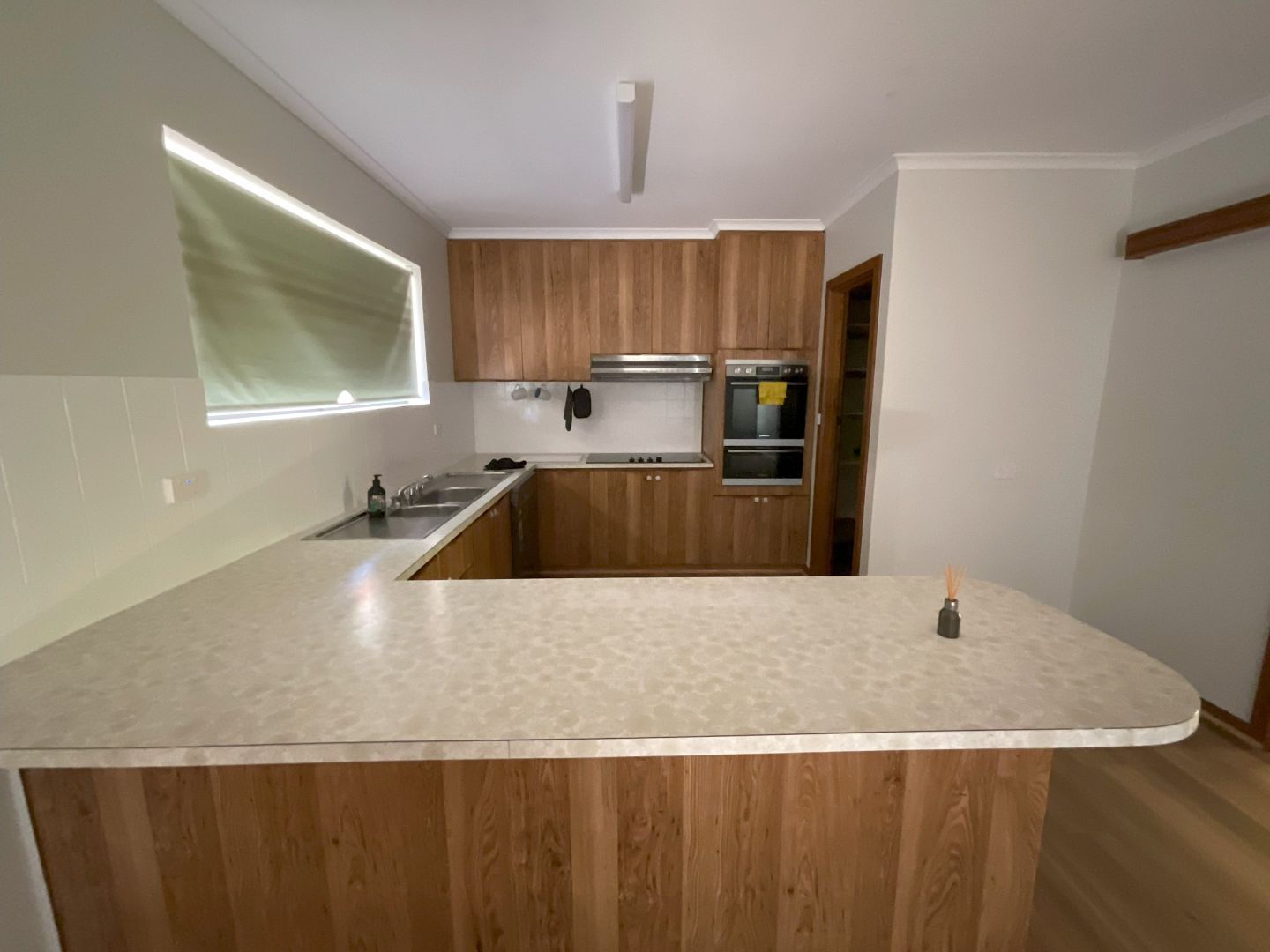 43 Tapio Street, Renmark SA 5341 House For Rent Domain