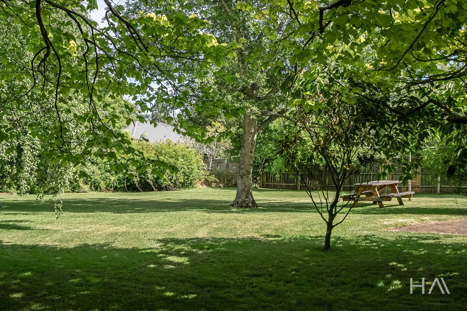 Image 15