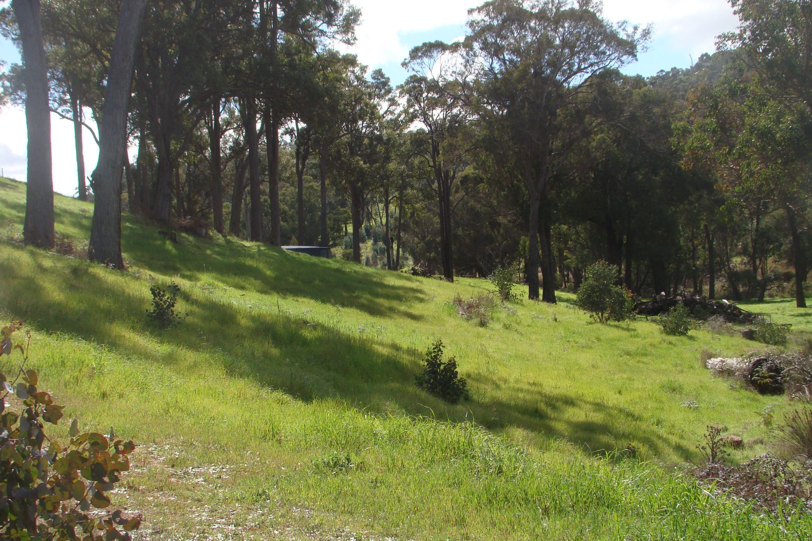 Lot 8 Windy Hollow Vale, Bridgetown WA 6255, Image 2