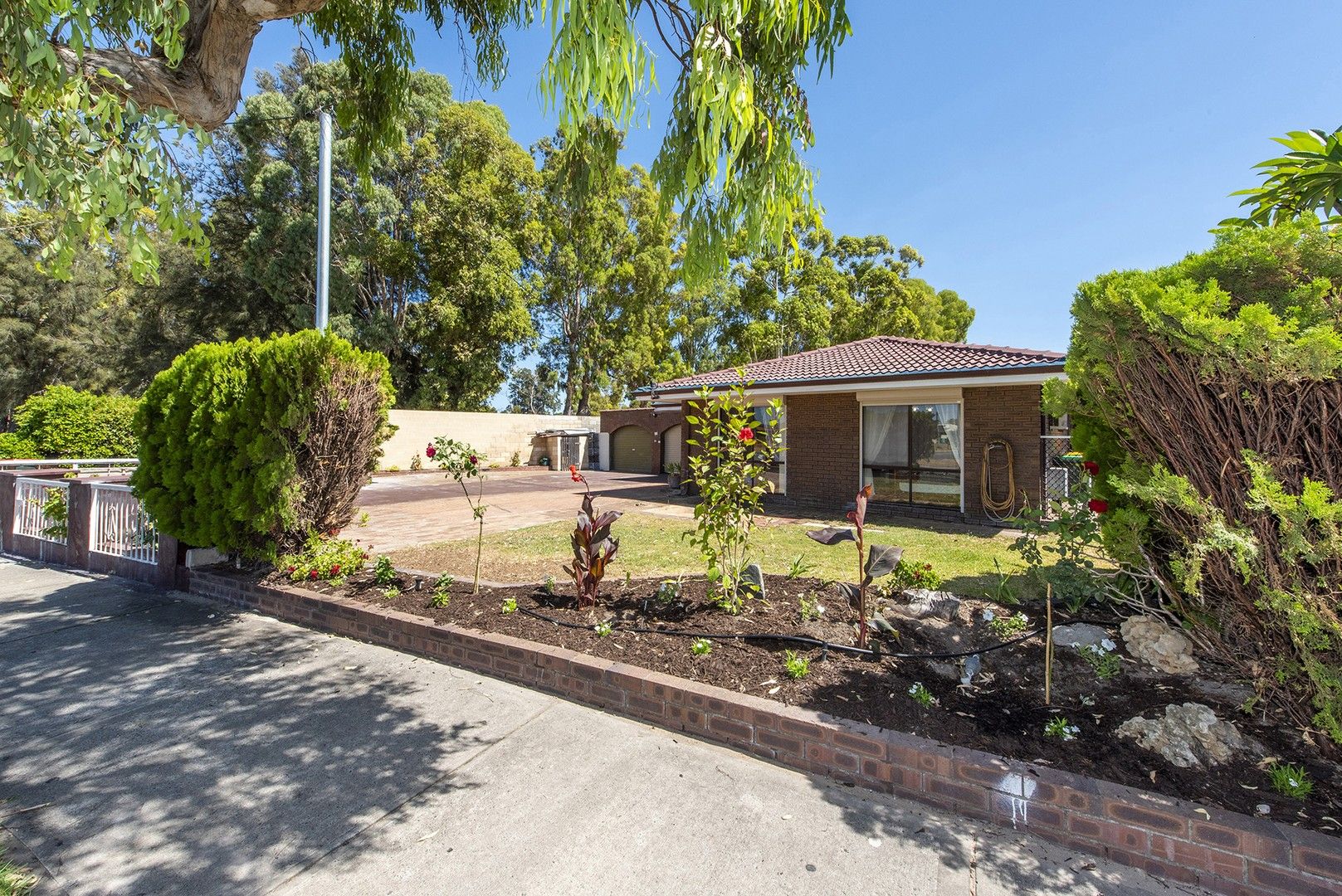 4 bedrooms House in 21 Willmott Drive COOLOONGUP WA, 6168