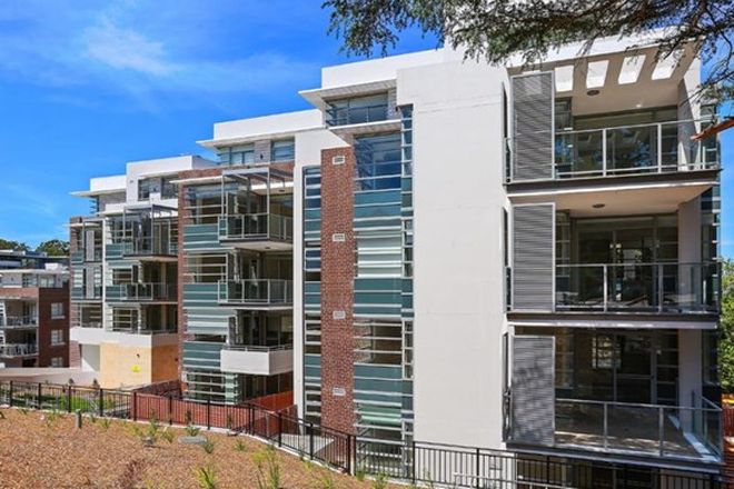 914 Rental Properties In North Shore Upper Nsw Domain