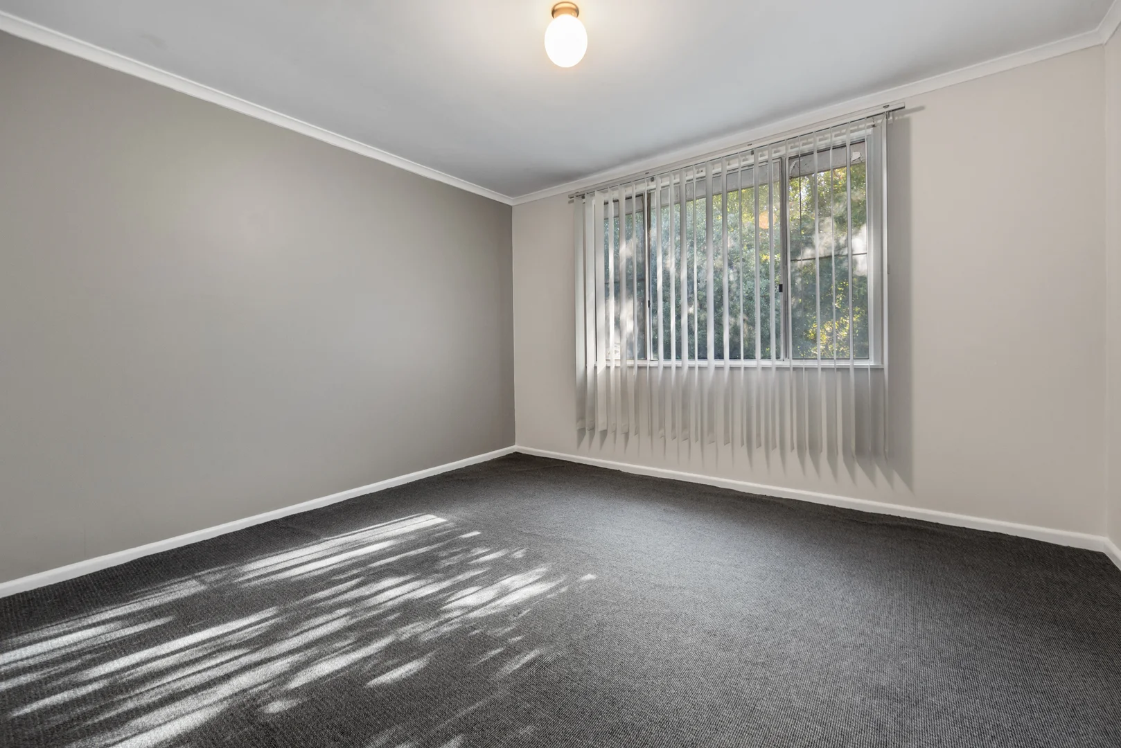 Additional image 7 of 29765 PRINCES HIGHWAY, Millicent SA 5280