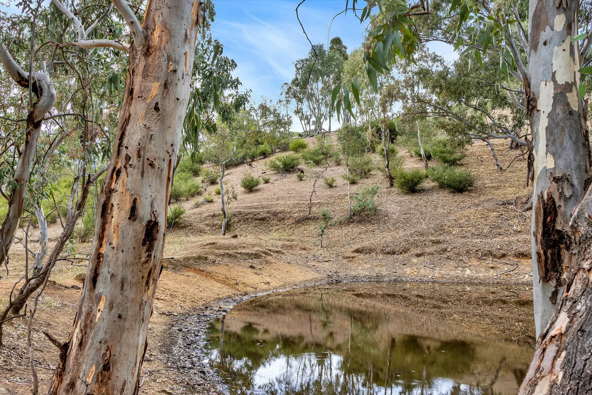 Additional image 31 of 1715 Kersbrook Road, Humbug Scrub SA 5114