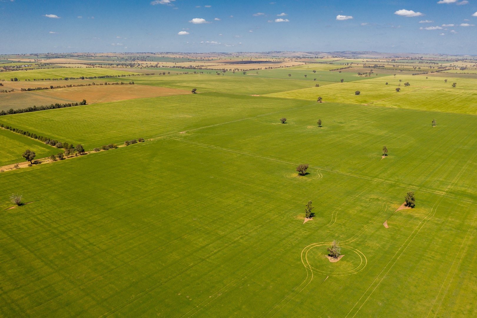 Olympic Highway, Junee NSW 2663, Image 0