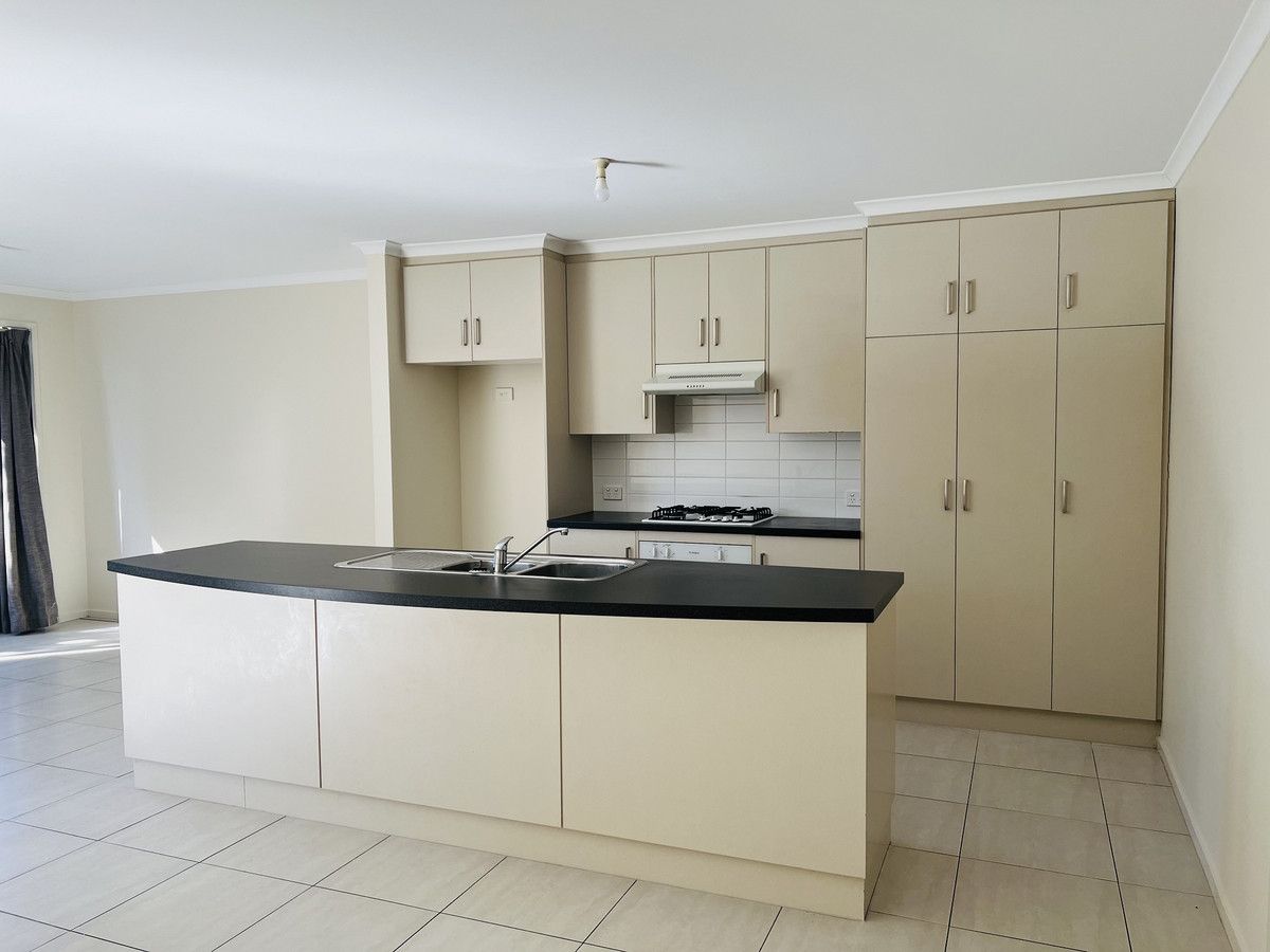 4 Minge Way, Nuriootpa SA 5355 House For Rent Domain