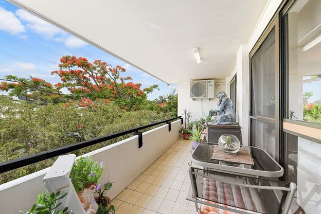Picture of 4/69 Poinciana Avenue, TEWANTIN QLD 4565