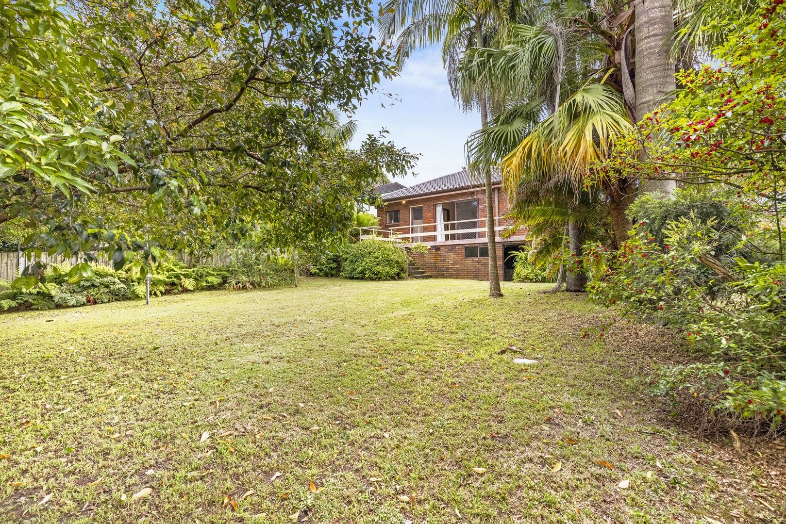 49 McIntosh Road, Dee Why NSW 2099, Image 0