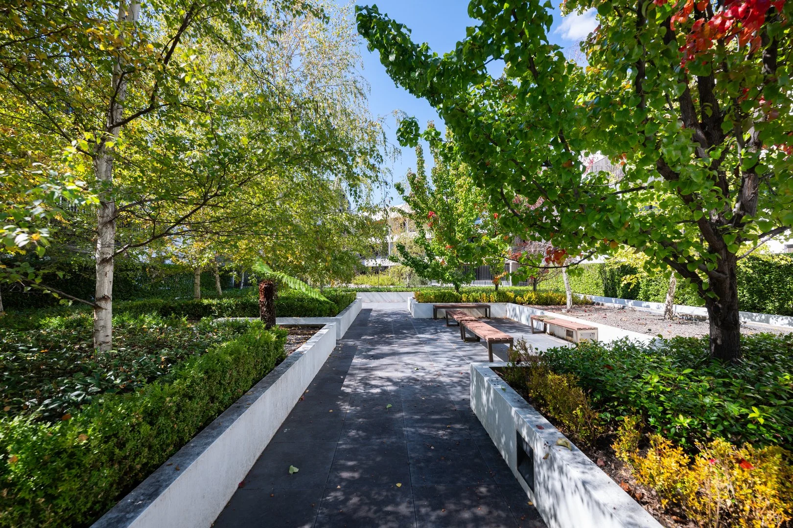 Additional image 23 of 19/1 Kerridge Street, Kingston ACT 2604