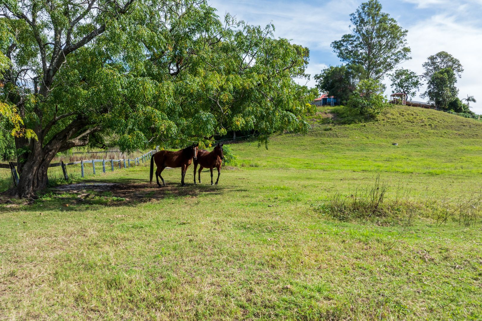 75 Bridgman Road, Singleton NSW 2330 House for Sale Domain