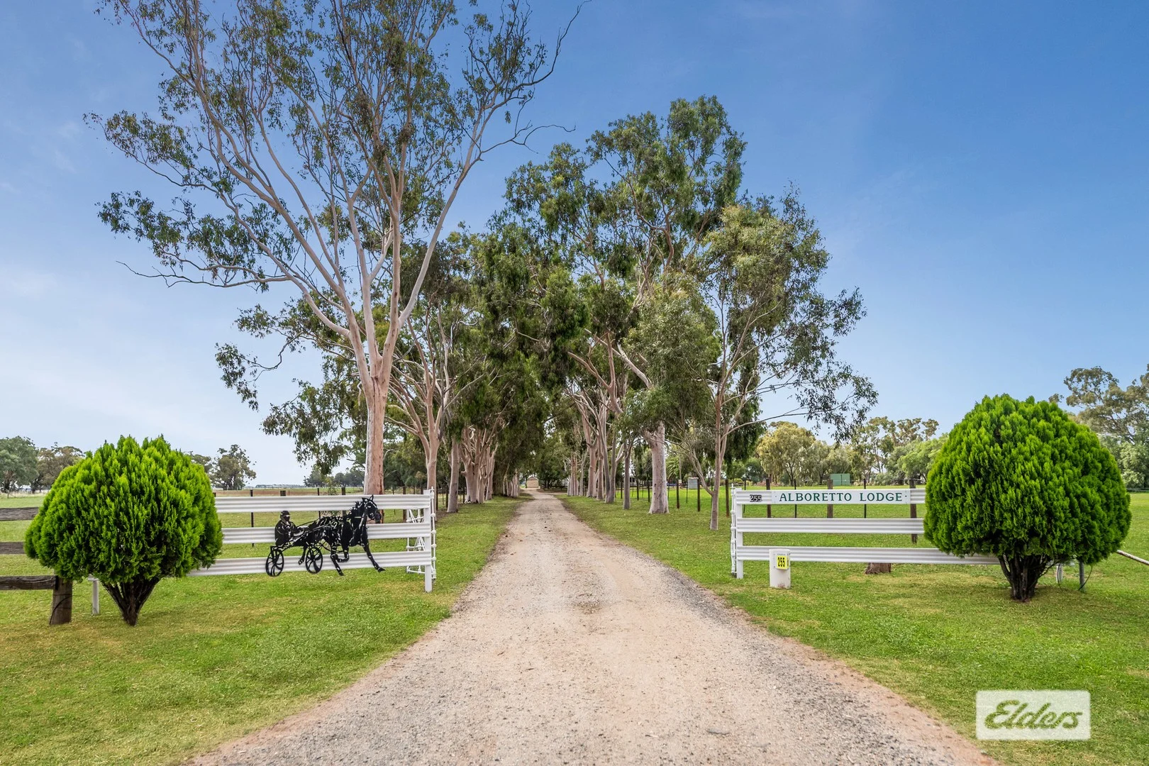 Primary image of 255 Rothackers Road, Serpentine VIC 3517