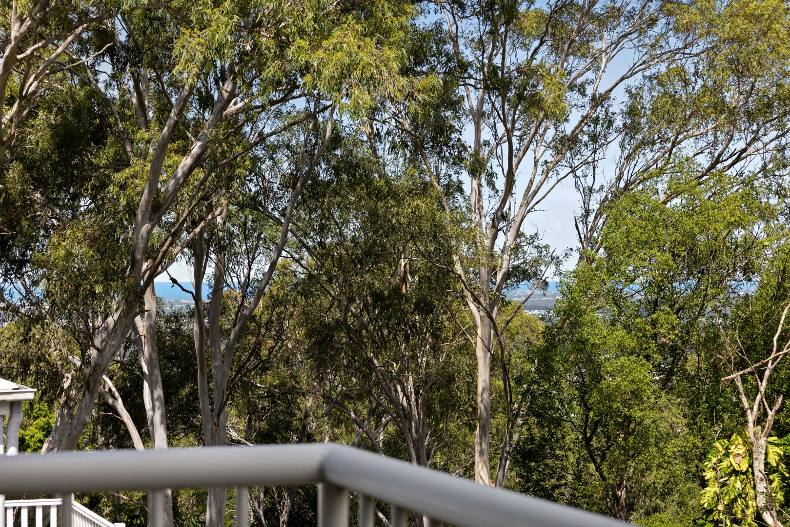 Additional image 20 of 194 Mooloolaba Road, Buderim QLD 4556