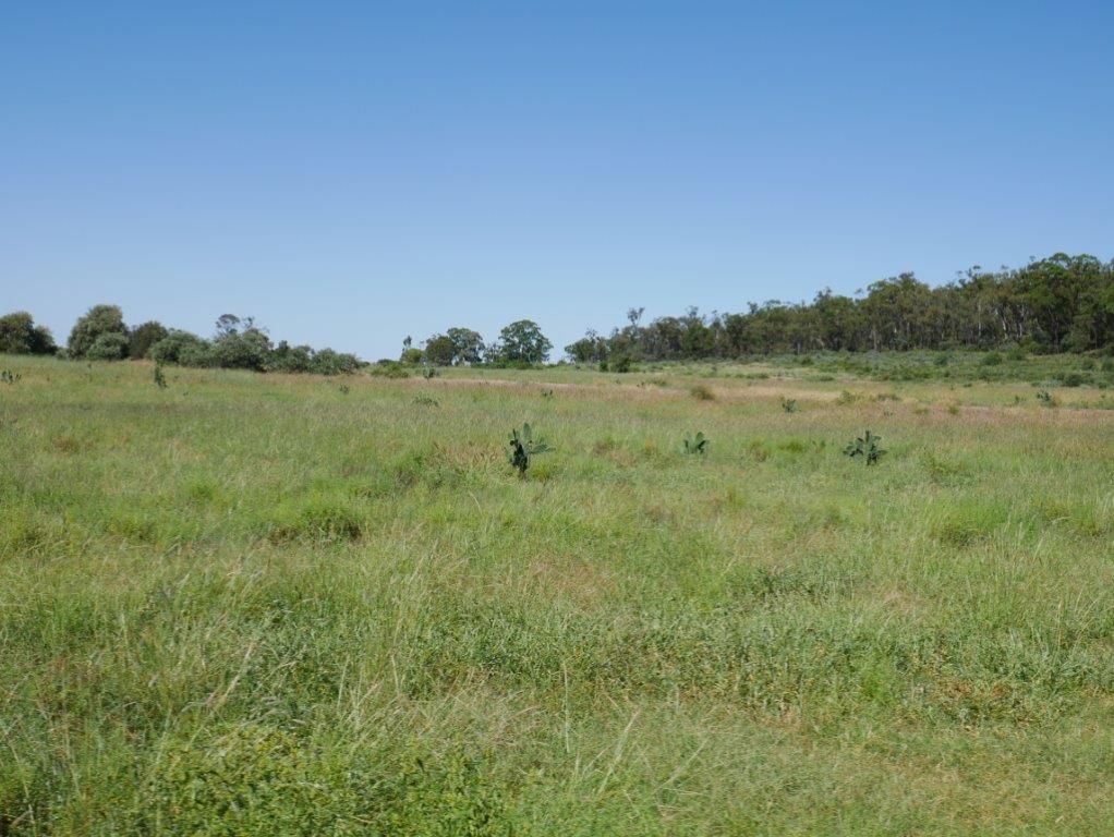 6402 CECIL PLAINS ROAD, Weir River QLD 4406, Image 1