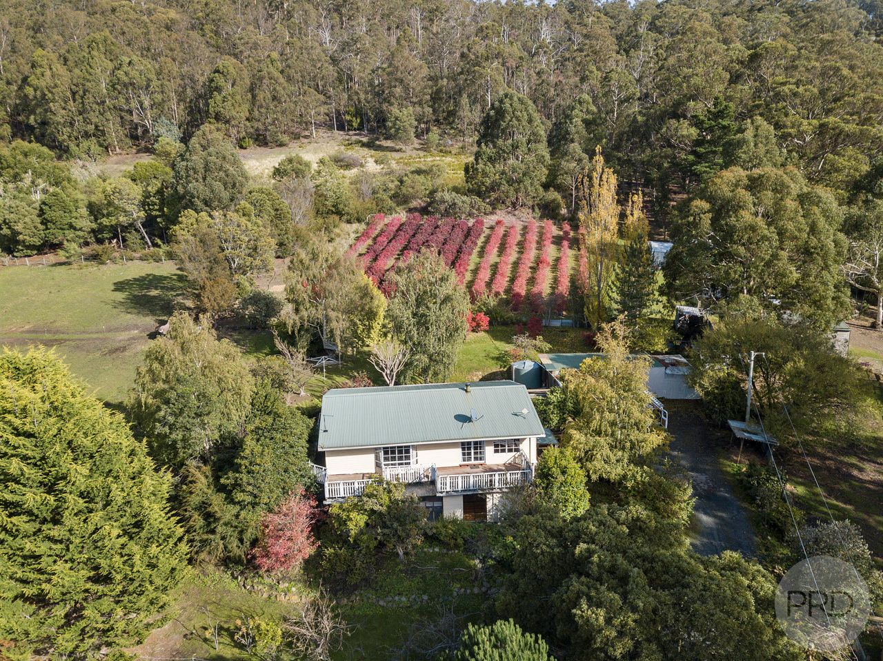 10 Pregnells Road, Allens Rivulet TAS 7150, Image 0