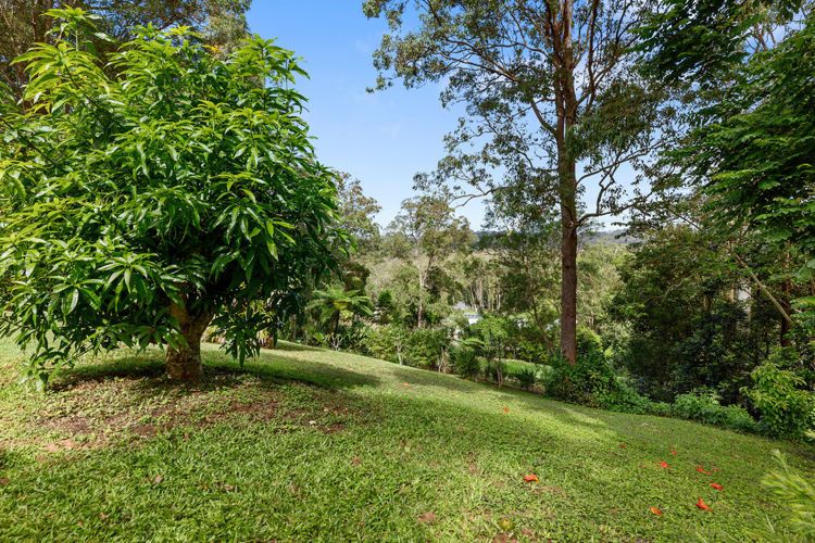 36 Bahdilli Cres, Diddillibah QLD 4559, Image 2