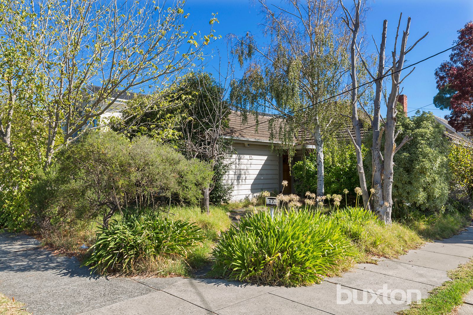 17 Lancaster Street, Bentleigh East VIC 3165, Image 1