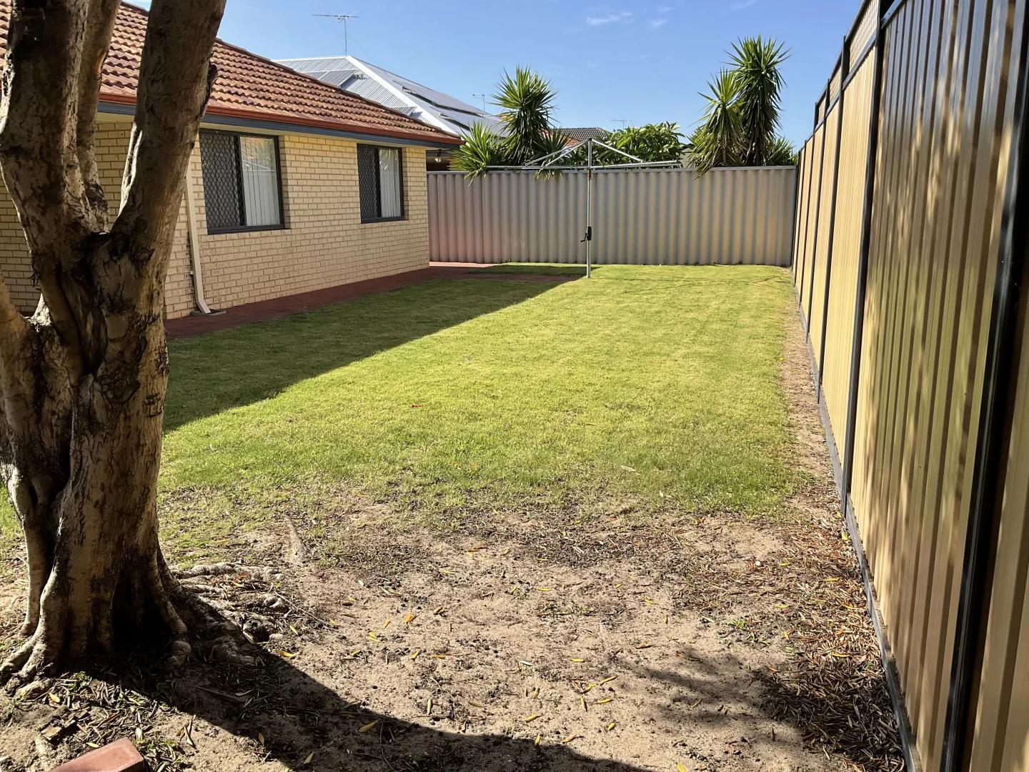 Image 19