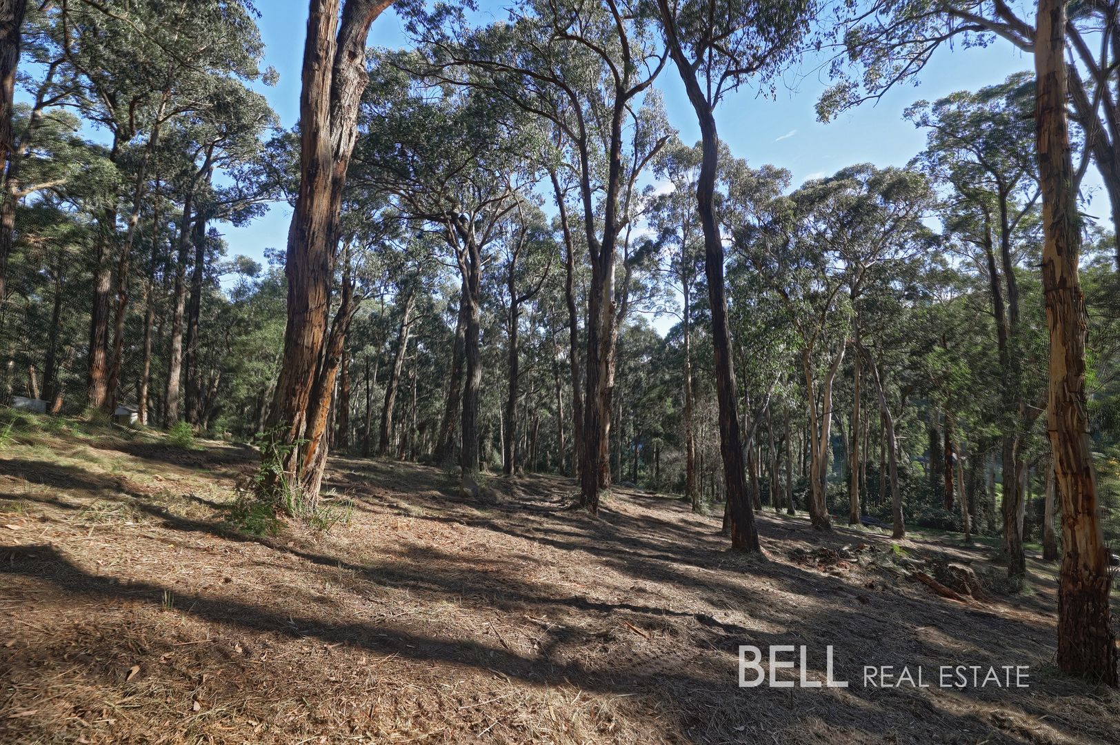 33 Selby Aura Road, Menzies Creek VIC 3159, Image 1