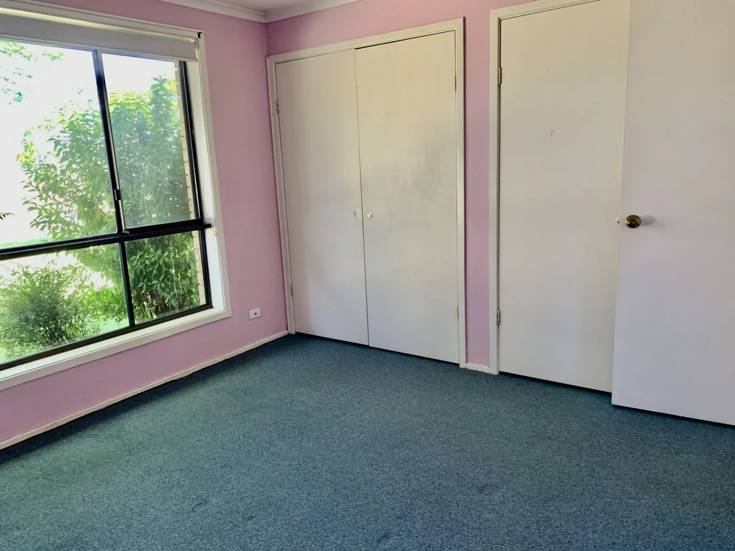 Additional image 5 of 50 Thunderbolt Drive, Raby NSW 2566