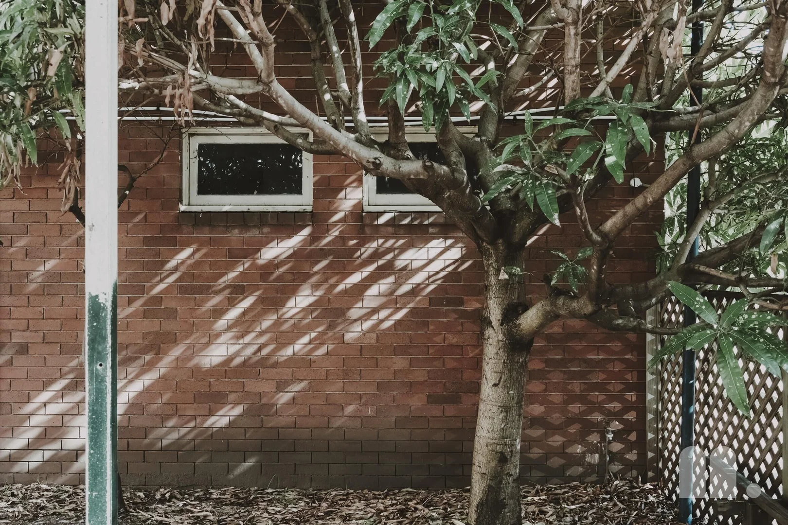 Image 12