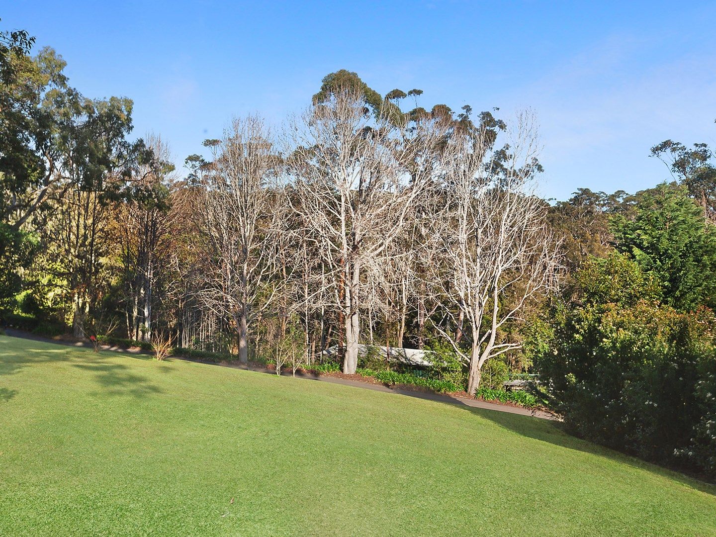 583 The Scenic Road, Macmasters Beach NSW 2251, Image 0