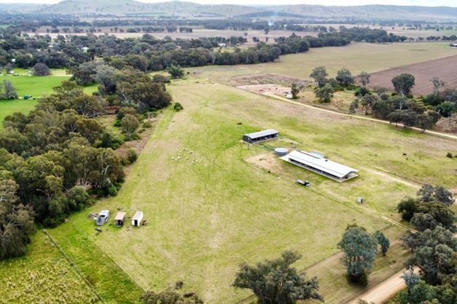 Picture of 244 Bang Bang Road, KOORAWATHA NSW 2807