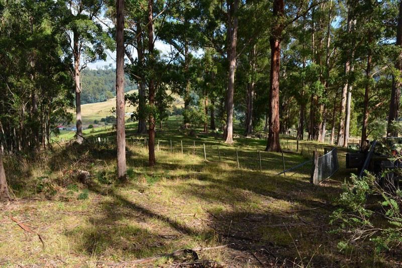Lot 1 Hardy Road, Dover TAS 7117, Image 2