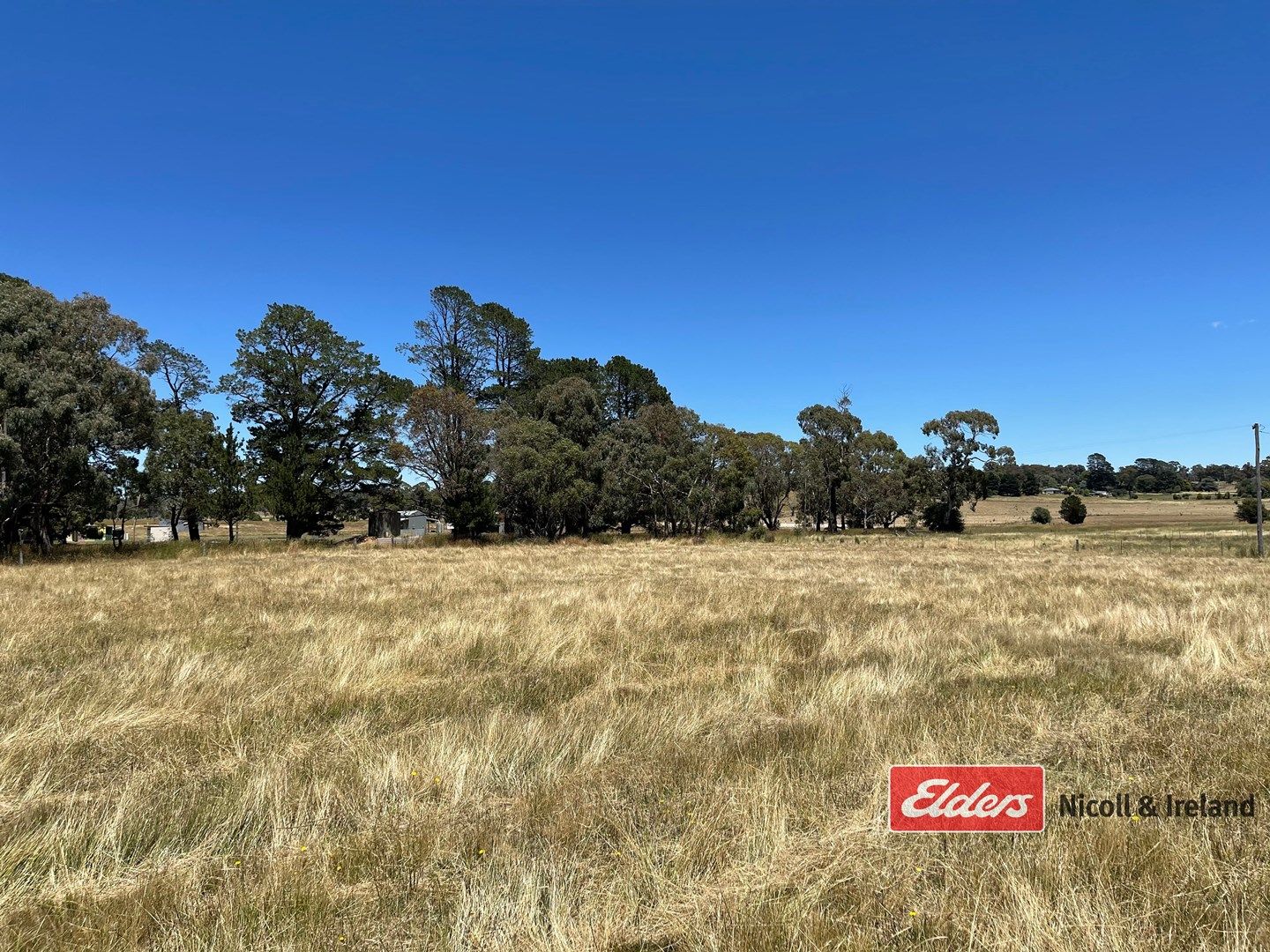 Lot 1 Pascoe Street, Neville NSW 2799, Image 0