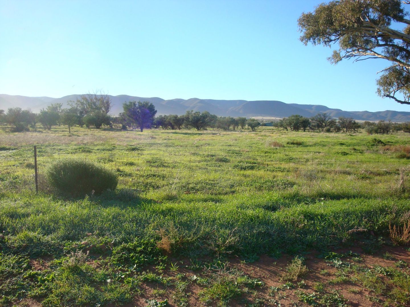 Lot 180 Off Gulf View Drive, Napperby SA 5540, Image 1