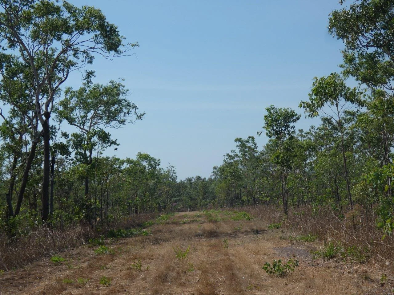 Image 7