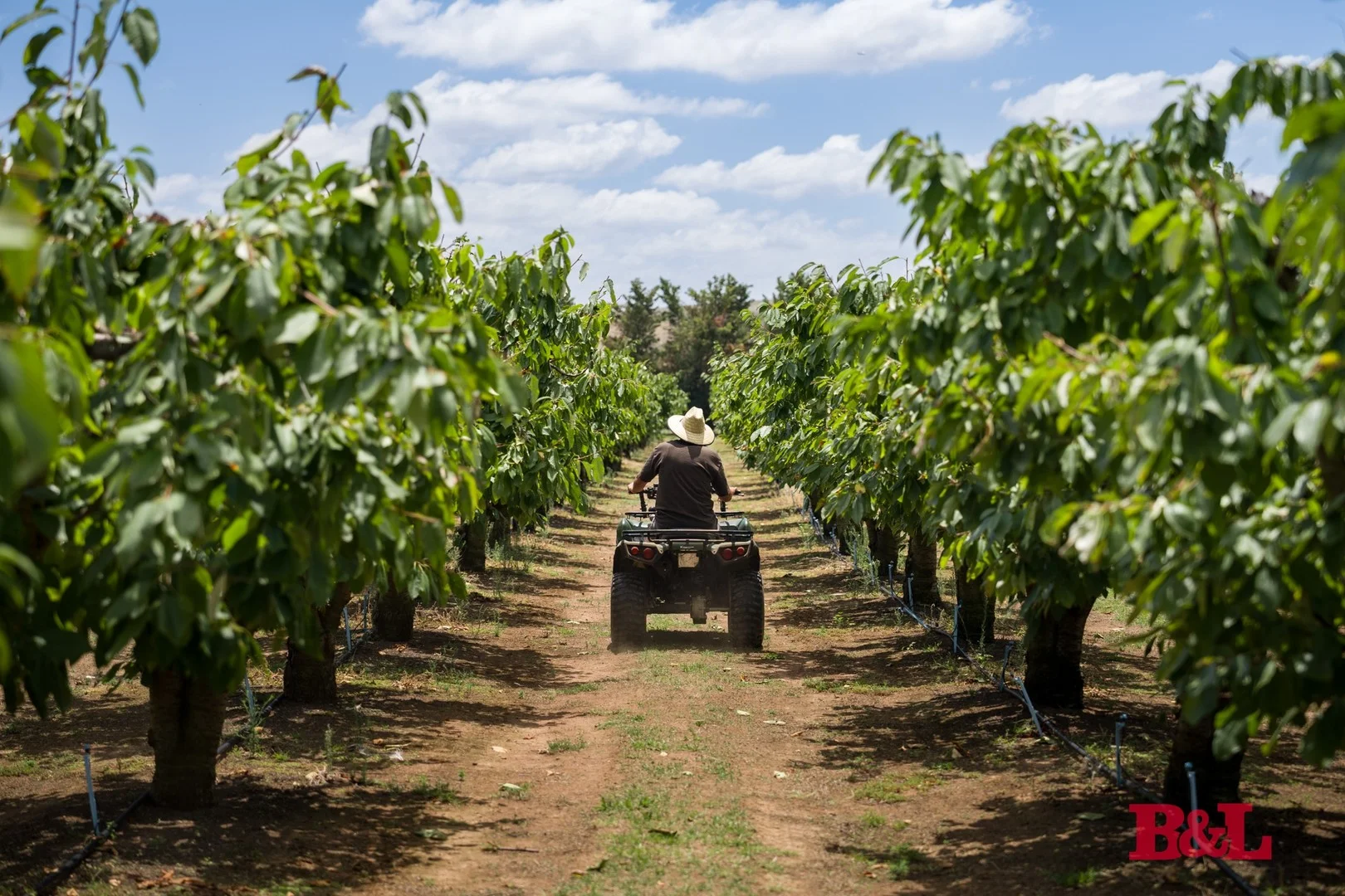 7 Melrose Drive, Raglan NSW 2795