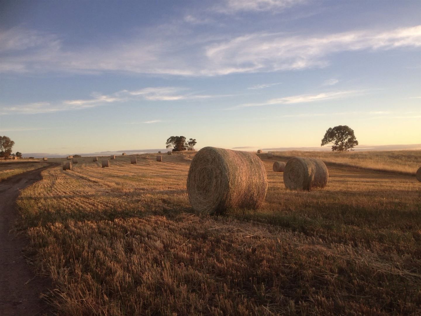 398 Snake Gully Road, Harrogate SA 5244, Image 1